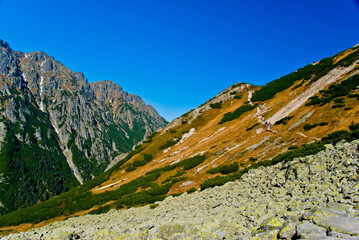 Tatry, drzewa, Tatrzański Park Narodowy, góry skaliste
