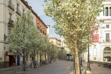 Fototapeta na wymiar streets of madrid in spring. Madrid. Spain - March , 2021. The Arenal street in downtown Madrid, in Spain, Europe