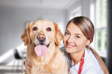 Young veterinary doctor playing with a dog.