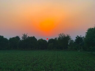 Fototapeta na wymiar Sunset in the Field 