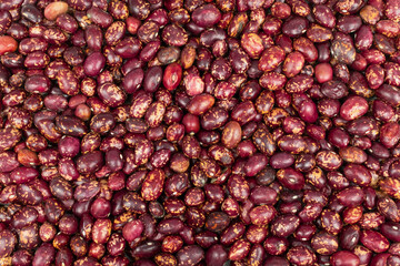 Top view red beans grains texture background, organic, natural and healthy food.