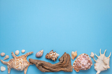 Summer flat lay, Frame with seashells, driftwood and starfish on blue background.