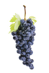 Fototapeta premium Grape bunch isolated 