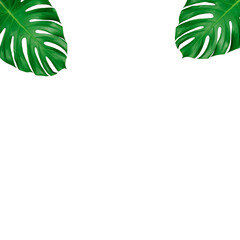 green leaves frame decoration 