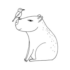 capybara with bird hand drawn in doodle style. cute animal in a simple line drawing. suitable for icon, sticker, decor.