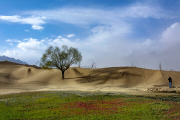 desert in the snow mountains, cold desert and snow peaks, landscape of dune  desert  and snow caped mountains 