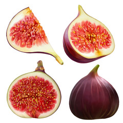 Ripe, juicy fig fruits hand-drawn on a transparent background for your design. Fruit illustration template in PNG format.
