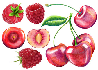 Ripe cherry and raspberry fruits hand-drawn with colored pencils on an isolated background for your design. A template of berry illustrations in PNG format.