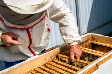 Winged bee slowly flies to beekeeper collect nectar on private apiary