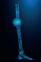 Polygonal vector illustration of leg bones on a dark blue background. Knee and ankle joint Polygon Art.