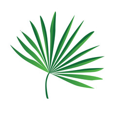 Concept Jungle botany plant branch leaf. This illustration features a flat, vector design of a single green branch from a plant in a jungle setting. Vector illustration.