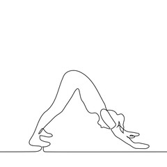 woman in yoga pose downward facing dog - one line drawing vector. the concept of yoga