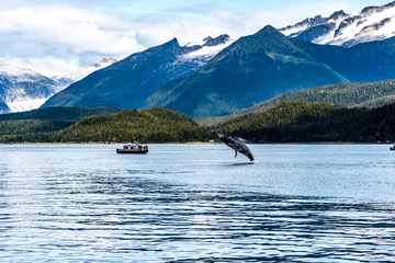 Photo sur Plexiglas Denali Alaska