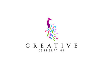 Peacock logo with elegant design with colorful colors