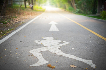 Obraz premium Running lane in forest 