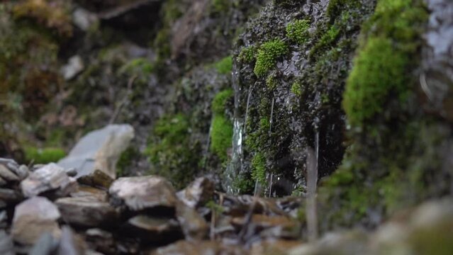 Cinematic image of a small stream formed by mountain thaw. The water falls forming a waterfall and filters through the green moss. The image conveys tranquility and relaxation.