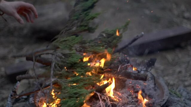 Green pine leaf added to fire pit by hand in outdoor setting, filmed in handheld style
