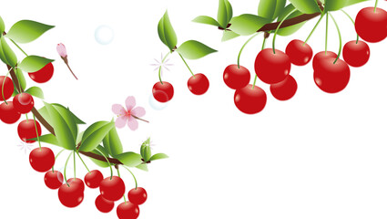 サクランボの木と桜の花の横スタイル背景素材