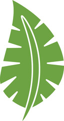 plant and leaf illustration