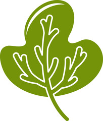 plant and leaf illustration