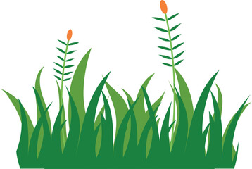 grass icon over white background. colorful design. vector illustraton