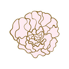 Peony bud icon. Simple elegant flower pattern for wedding invitations and cards.