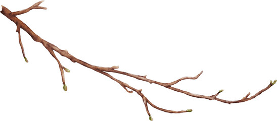 Watercolor cherry blossom stem element