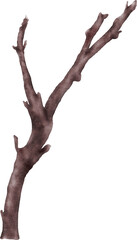 Watercolor cherry blossom stem element