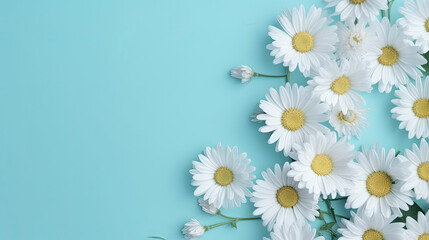 Fototapeta premium Fresh white daisies on light pastel blue background with Generative AI Technology