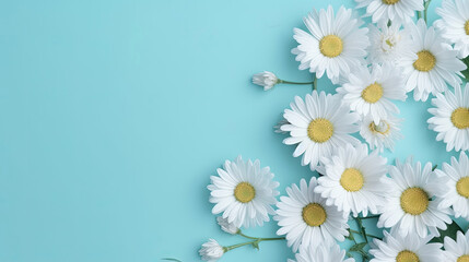 Fresh white daisies on light pastel blue background with Generative AI Technology