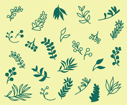 Vegetal vecteurs, vectoriel, plantes, feuilles, jardin, botanique, feuillage, illustration, eps, ai , illustrator, nature