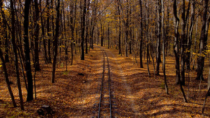 Children's railway in the Kharkov forest park in autumn