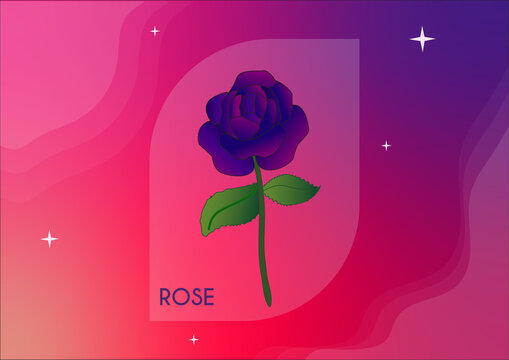 bule rose with pink blue gradient and gleaming little star 