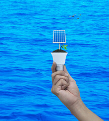Hand holding solar cell and fresh green tree leaves on soil with light bulb over blue sea with birds, Green ecology and saving energy concept