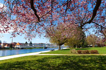 Springtime view of Tyn nad Vltavou, Czechia.