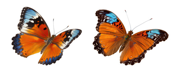 Beautiful butterfly isolated on transparent background. Generative Ai