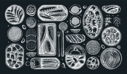 Seafood illustrations on chalkboard. Hand-drawn tinned fish sketches collection. Sardines, anchovy, mackerel, tuna, mussels in tin cans, fish canapes, olives, crackers drawings. Menu design