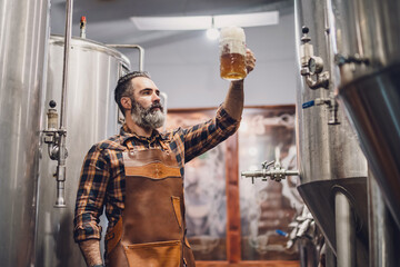 Bearded brewery master holding glass of beer and evaluating its visual characteristics. Small...