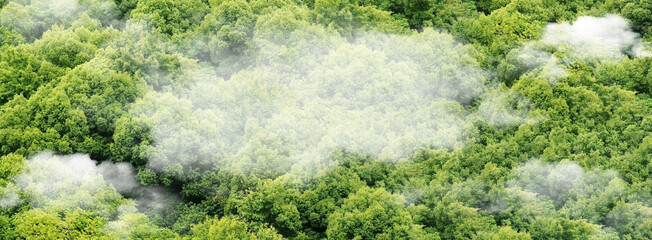 Cop 28, Global warming concept with view of earth lung - web banner