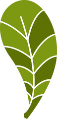 leaf icon illustration