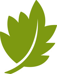 leaf icon illustration
