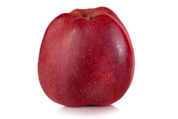 Red chief apple isolated on white background.