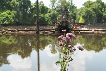 spiritual flowers in front of water temple in cambodia