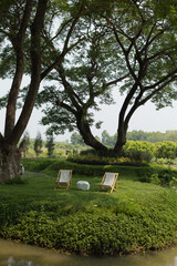 lawn chair and table on green grass garden