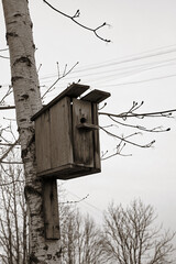 Black and white image of an old birdhouse on a tree