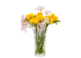 흰색 배경에 유리 꽃병 속의 노란색 프리지아꽃과 안개꽃
