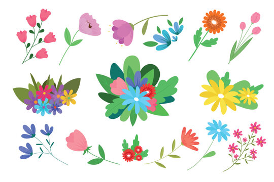 Floral collection with leaves, flower bouquets. Vector flowers. Spring art print with botanical elements.