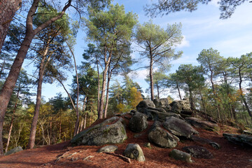 Denecourt path in the gorges du Houx hills