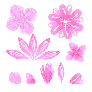 Abstract flowers. Hand drawn watercolor isolated on white background. Can be used for cards, patterns, label.