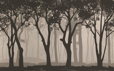 Seamless background horizontal. Silhouette of the deciduous forest, vector illustration - 593495614
